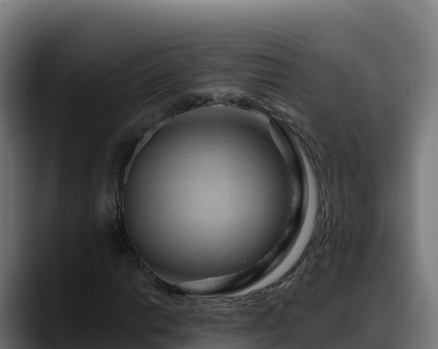 X0000088381014200705291343