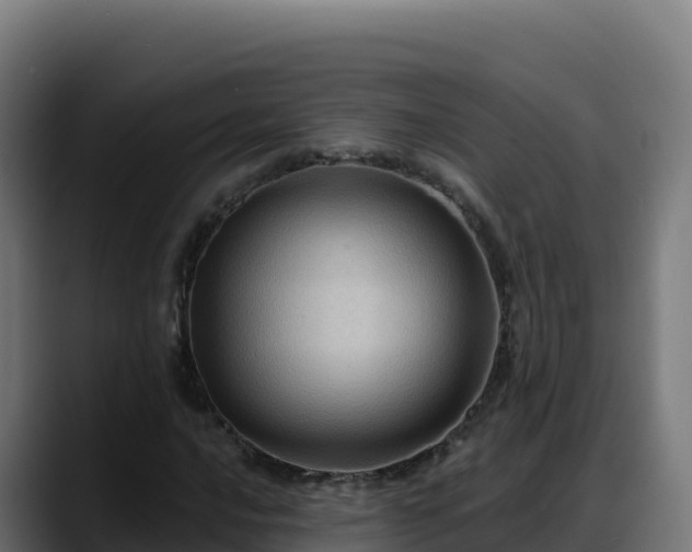 X0000088381016200705291343