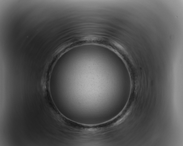 X0000088381017200705291343