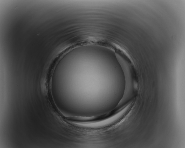 X0000088381018200705291343