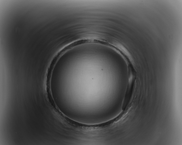 X0000088381020200705291343