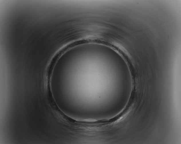 X0000088381021200705291343