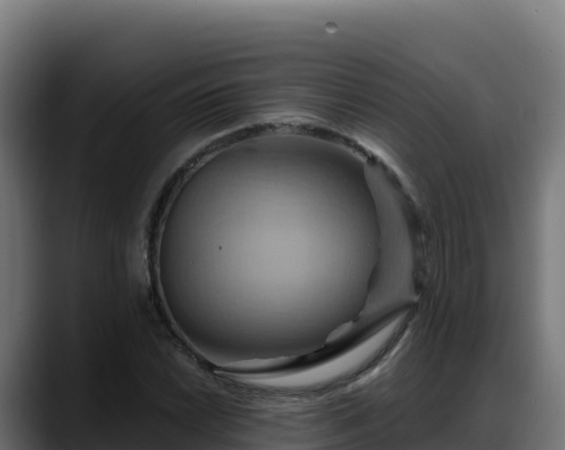 X0000088381022200705291343