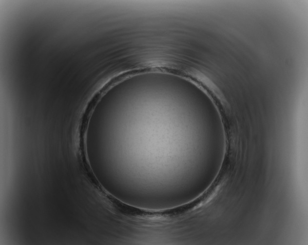 X0000088381023200705291343