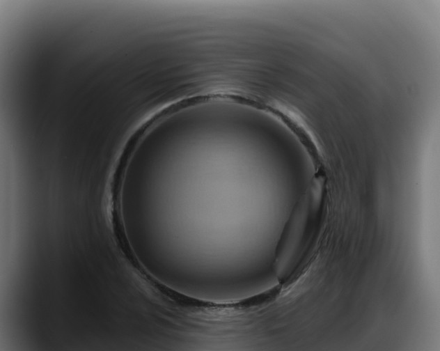 X0000088381024200705291343
