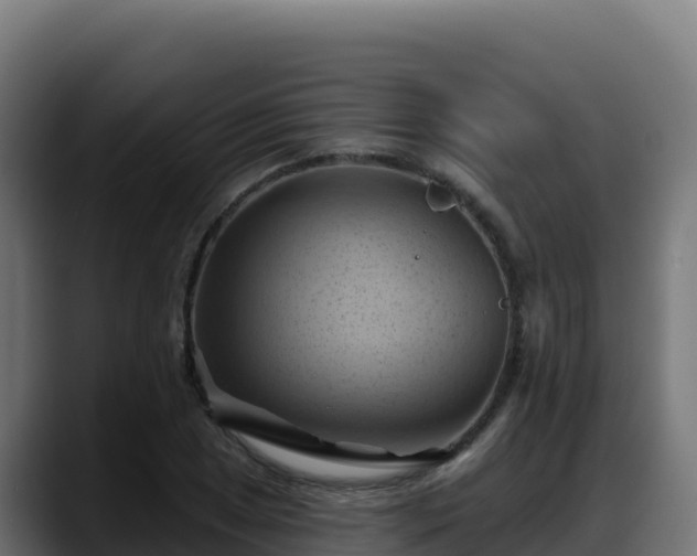 X0000088381025200705291343