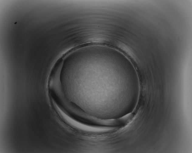X0000088381026200705291343