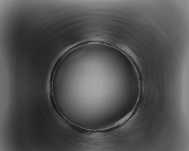 X0000088381028200705291343