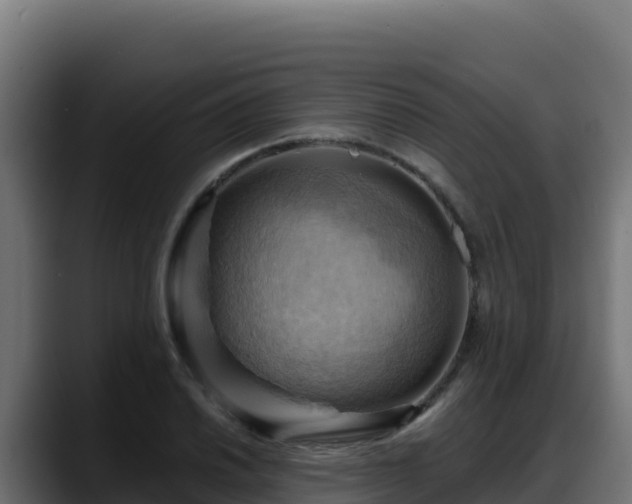 X0000088381030200705291343