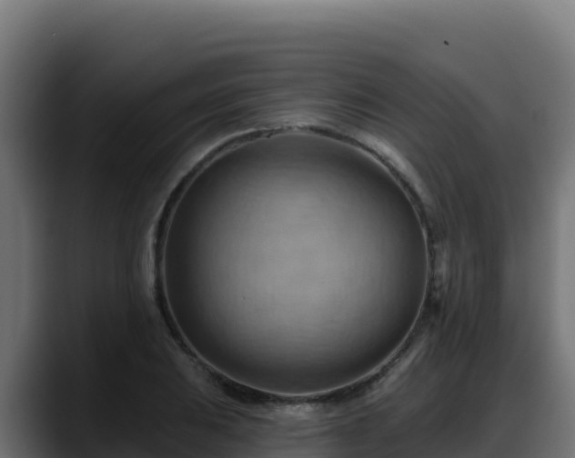 X0000088381031200705291343
