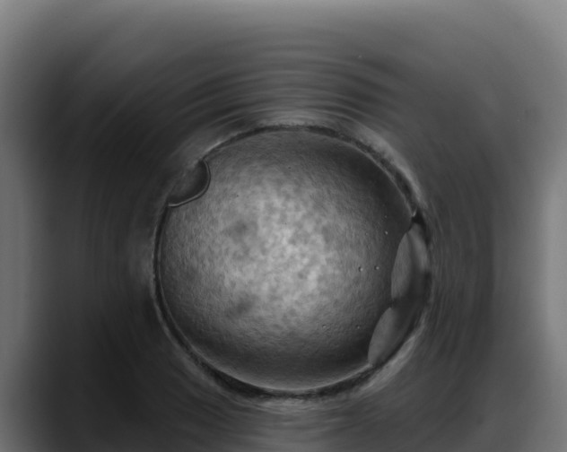 X0000088381033200705291343