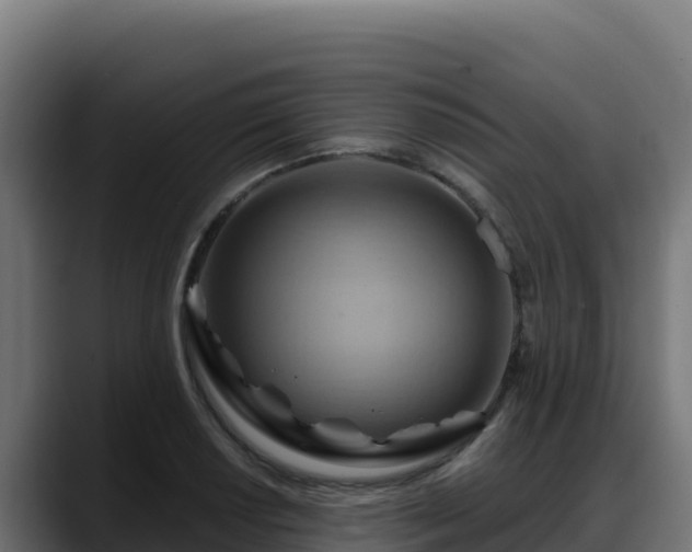 X0000088381034200705291343