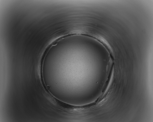 X0000088381035200705291343