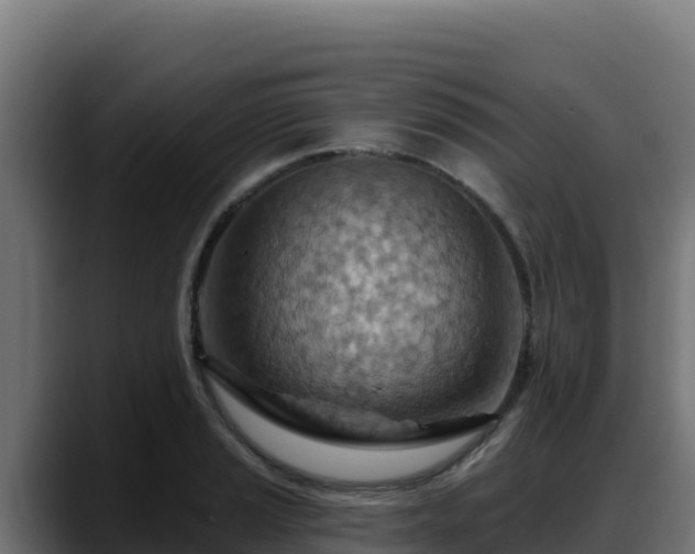 X0000088381037200705291344