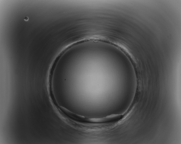 X0000088381038200705291344