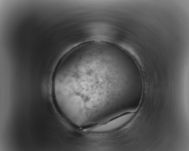 X0000088381040200705291344
