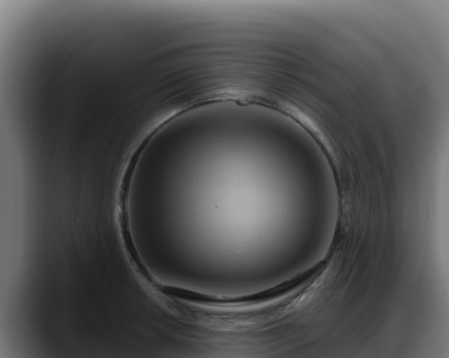 X0000088381042200705291344