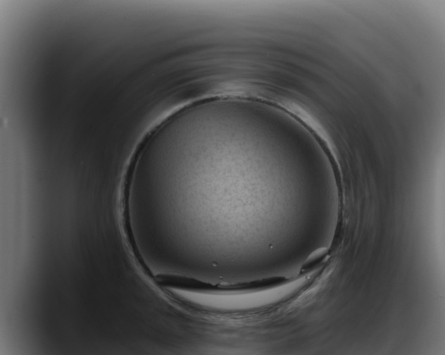 X0000088381045200705291344