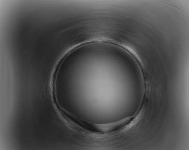 X0000088381046200705291344