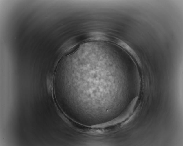 X0000088381049200705291344