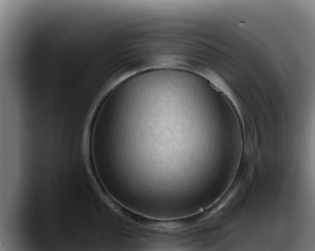 X0000088381053200705291344