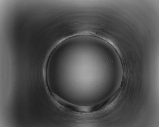 X0000088381054200705291344