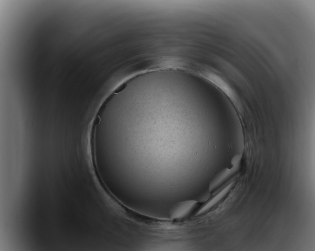 X0000088381055200705291344