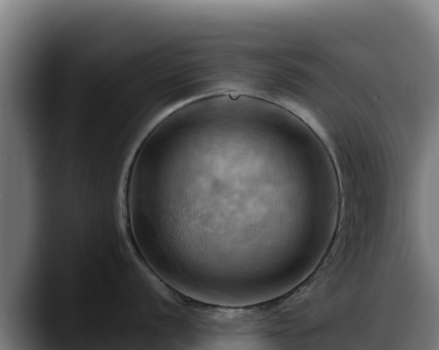 X0000088381056200705291344