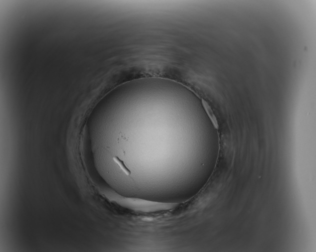 X0000088381057200705291343