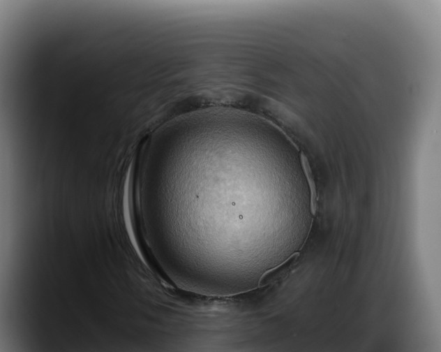 X0000088381058200705291343