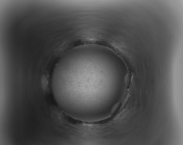 X0000088381059200705291343
