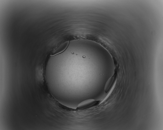 X0000088381060200705291343