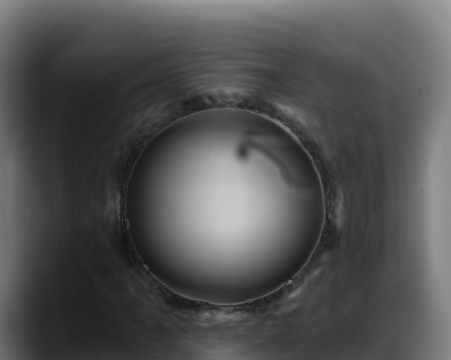X0000088381061200705291343