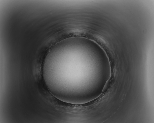 X0000088381062200705291343