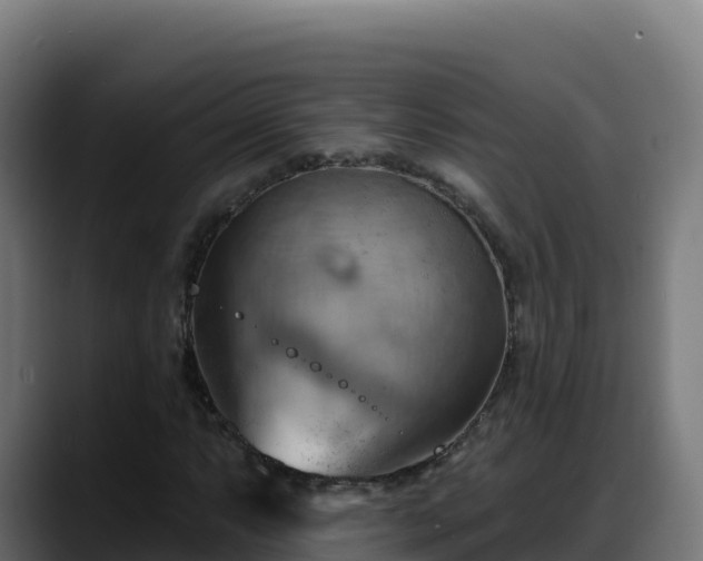 X0000088381063200705291343