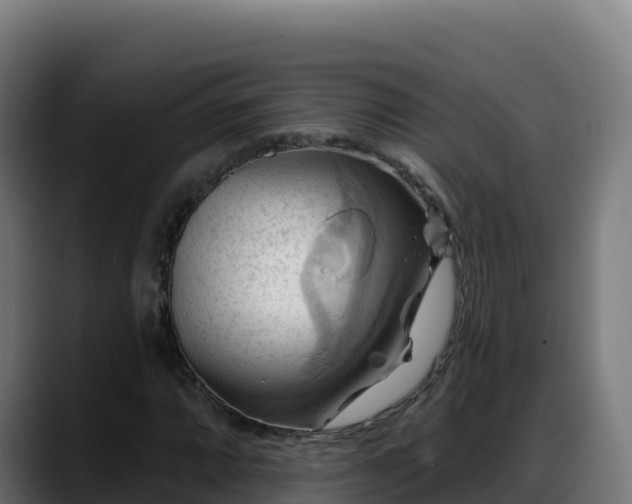 X0000088381064200705291343