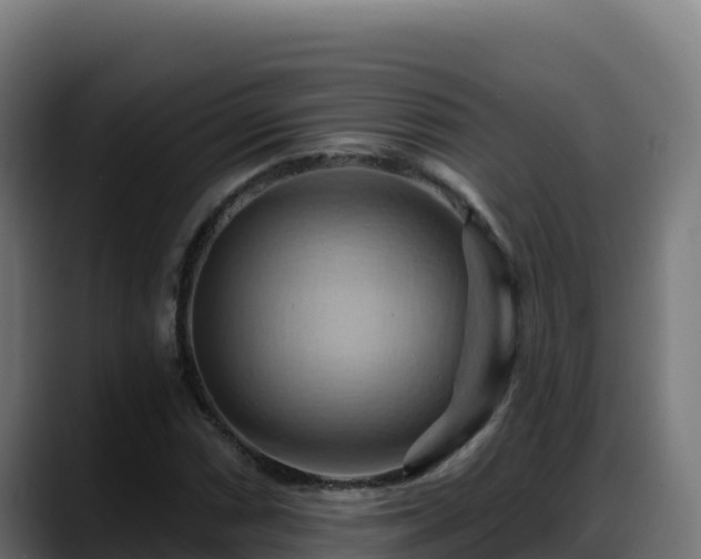 X0000088381066200705291343