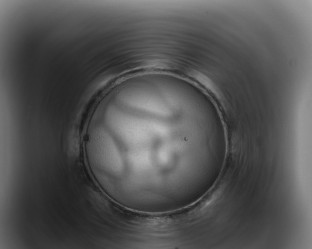 X0000088381067200705291343