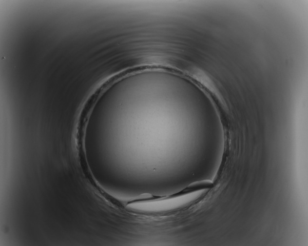 X0000088381068200705291343