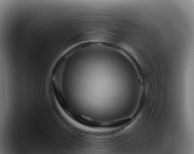 X0000088381069200705291343