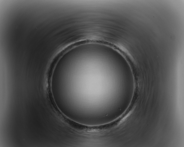 X0000088381070200705291343