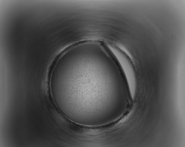 X0000088381071200705291343