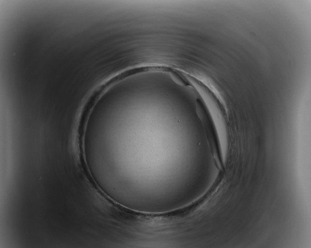 X0000088381072200705291343