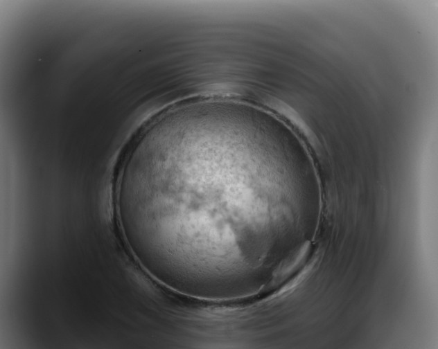 X0000088381075200705291343