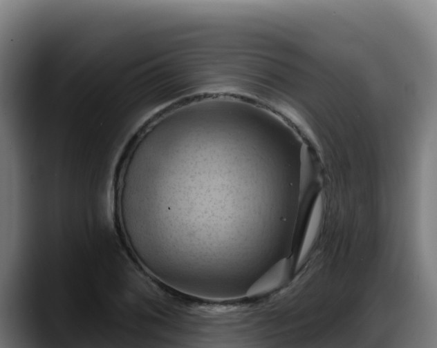 X0000088381076200705291343