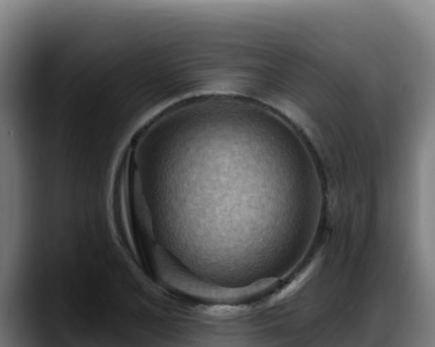 X0000088381077200705291343