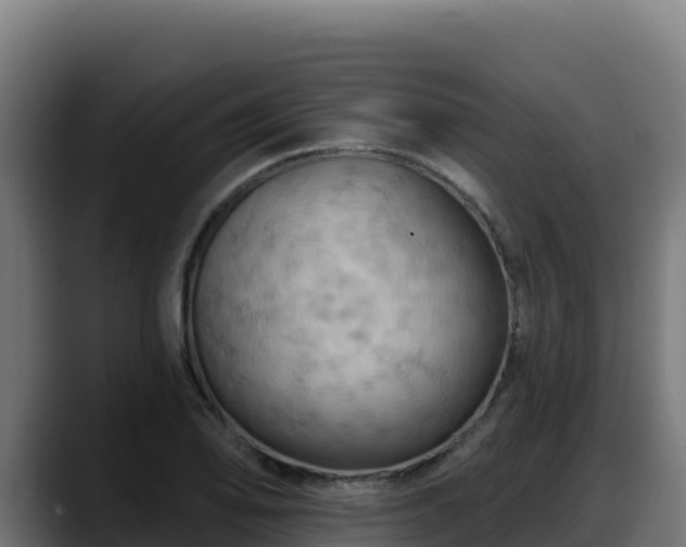 X0000088381078200705291343