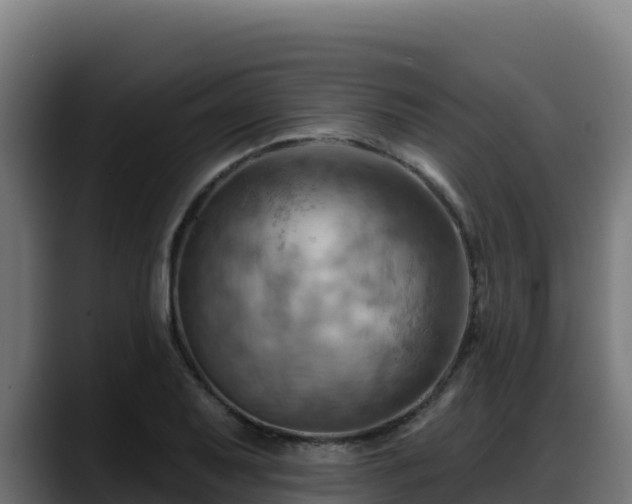 X0000088381079200705291343