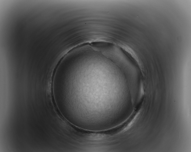 X0000088381081200705291343