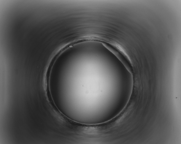 X0000088381082200705291343